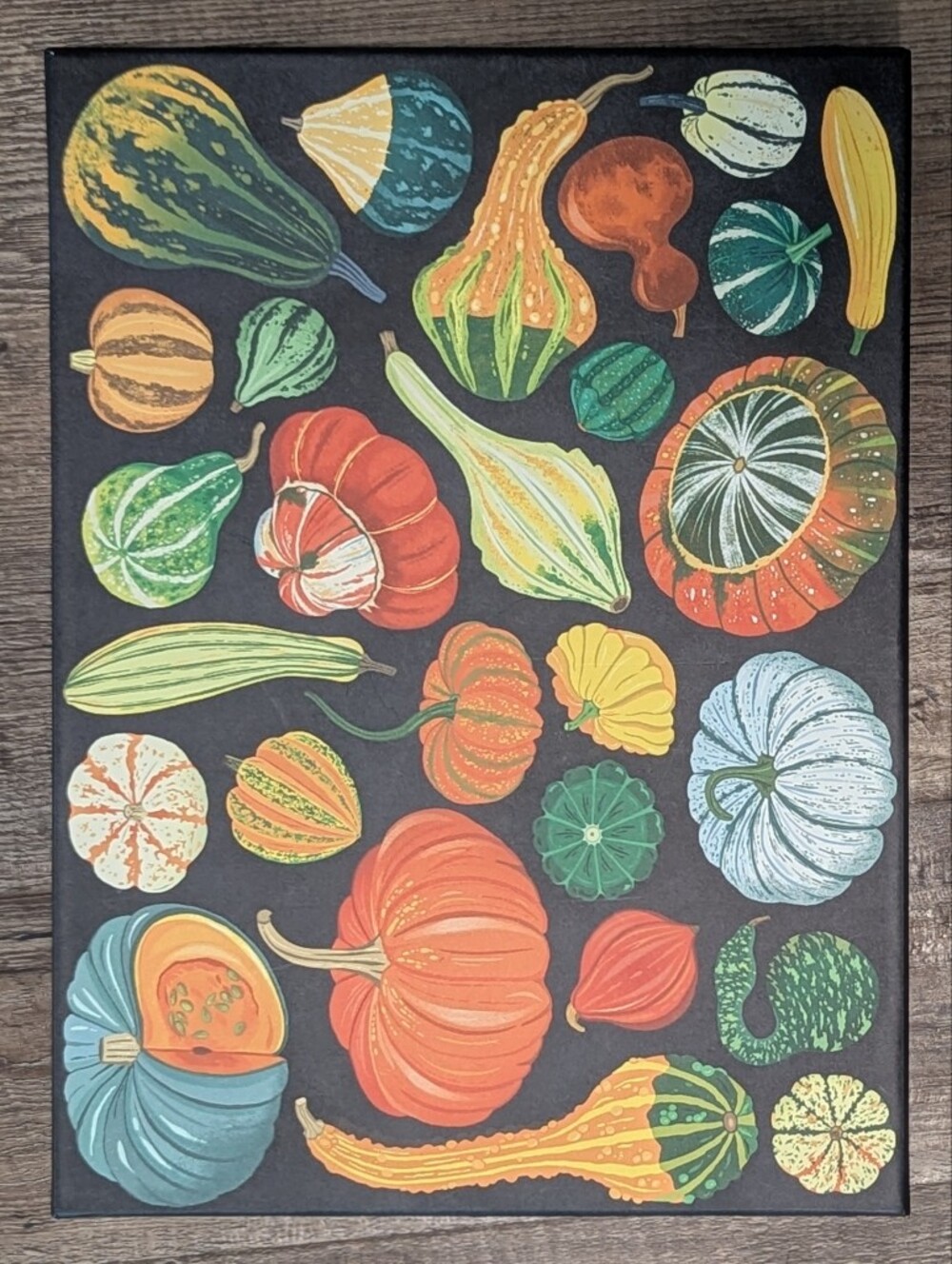 Galison World Of Pumpkins 1000 Piece Puzzle